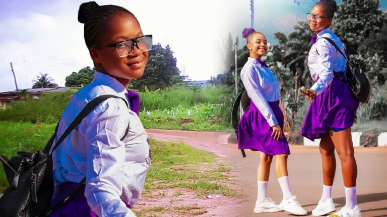 Download Movie: High School Love [Full Movie]